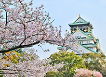 大发官方：从信任到共创的数字生活新入口
