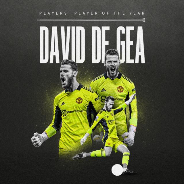 1654281865944010466.png 德赫亚.png